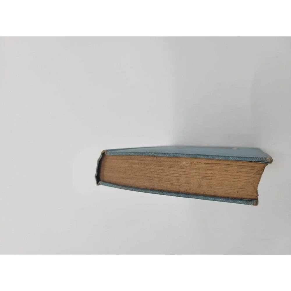 Vintage Edward P Roe THE‎ HORNET'S NEST 1892 Decorative Hardcover